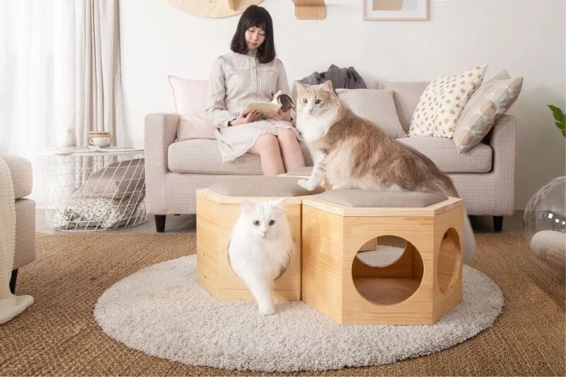 Design-Conscious Cat Stools