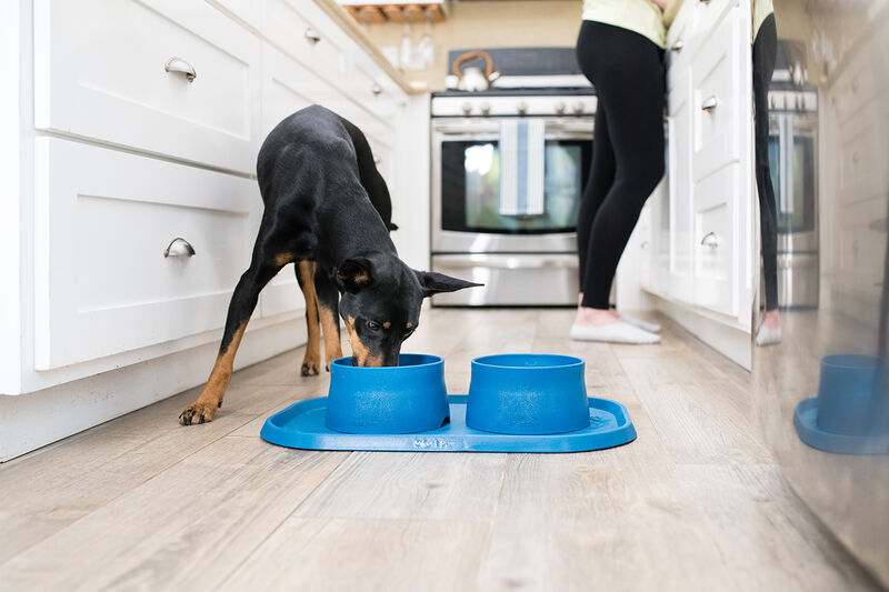 Ocean Plastic Dog Bowls