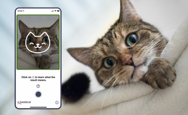 Face-Reading Feline Apps
