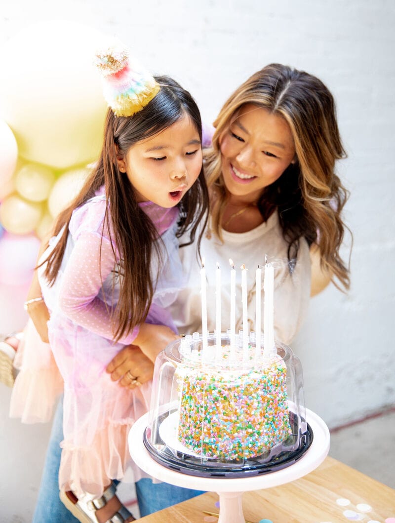 Birthday Cake Protectors