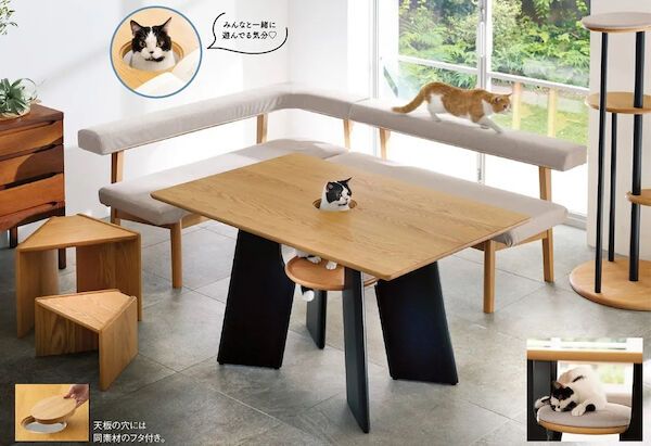 Cat-Centric Tables
