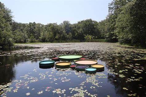 Large-Scaled Lily Pads