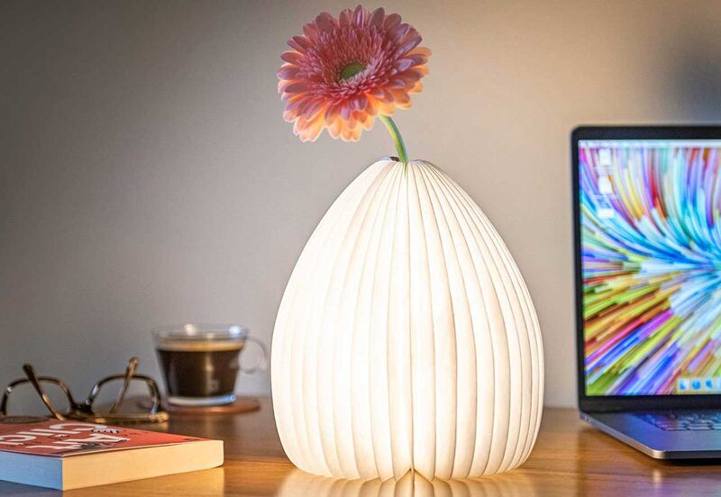 Smart Lamp Vases