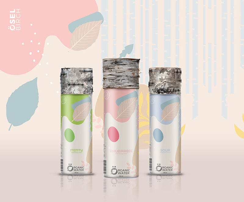 Reusable Bottle Birch Waters