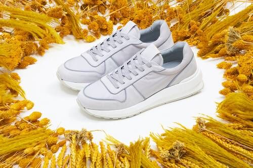 OCA Low Canvas Sneaker in Off-White – Veneka