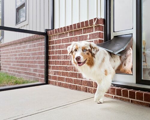 Weatherproof Pet Doors