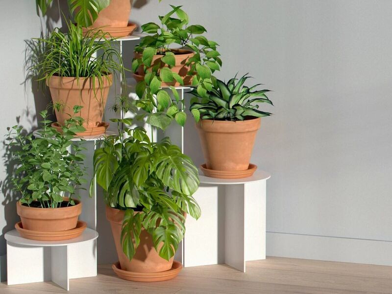 Personalization-Friendly Plant Stands