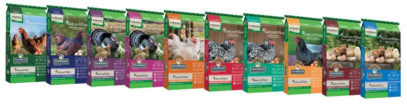 Essential Oil-Infused Poultry Feeds