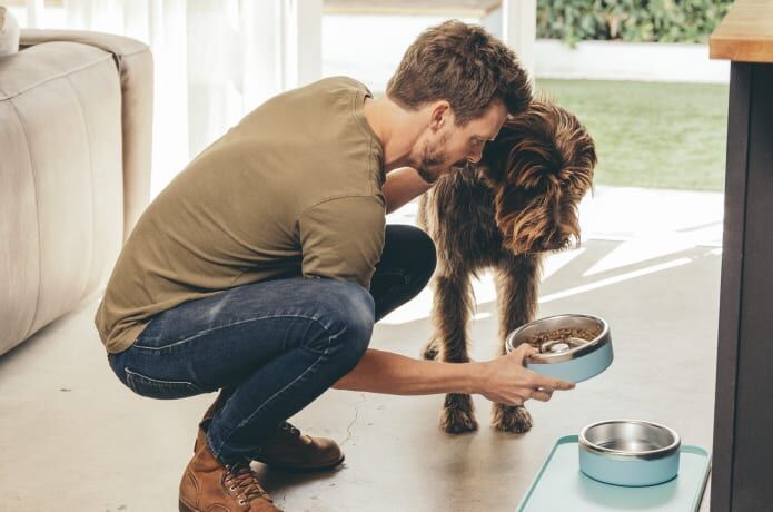 Health-Focused Dog Food Bowls