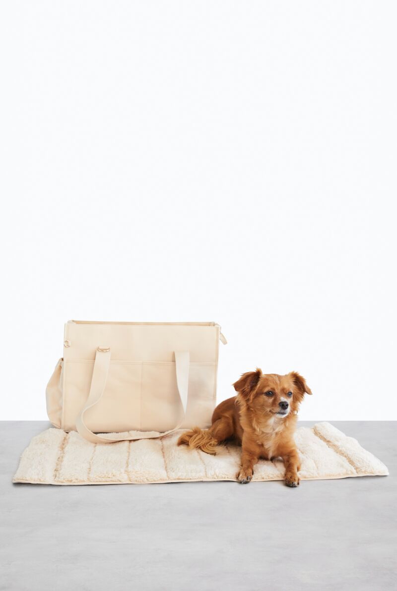 Travel-Friendly Pet Carriers