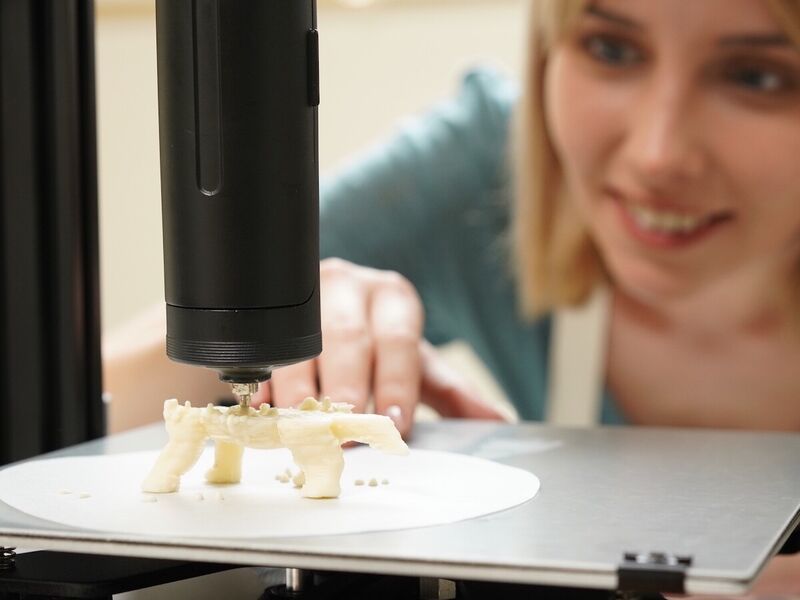 3D Printer Food Extruders
