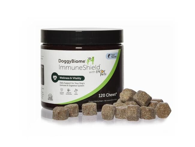 Dog Gut Health Supplements