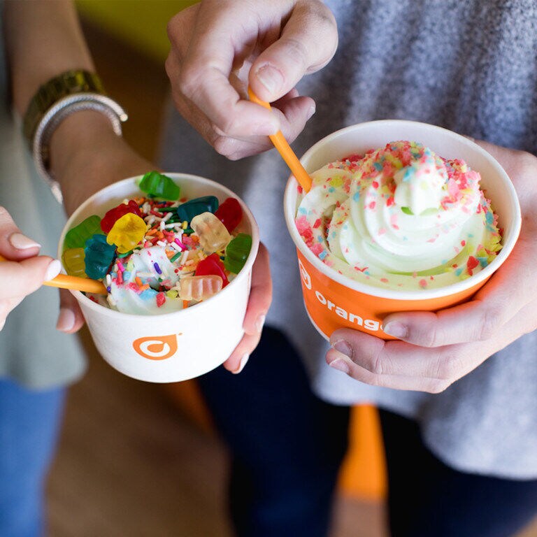Frozen Yogurt E-Commerce Initiatives