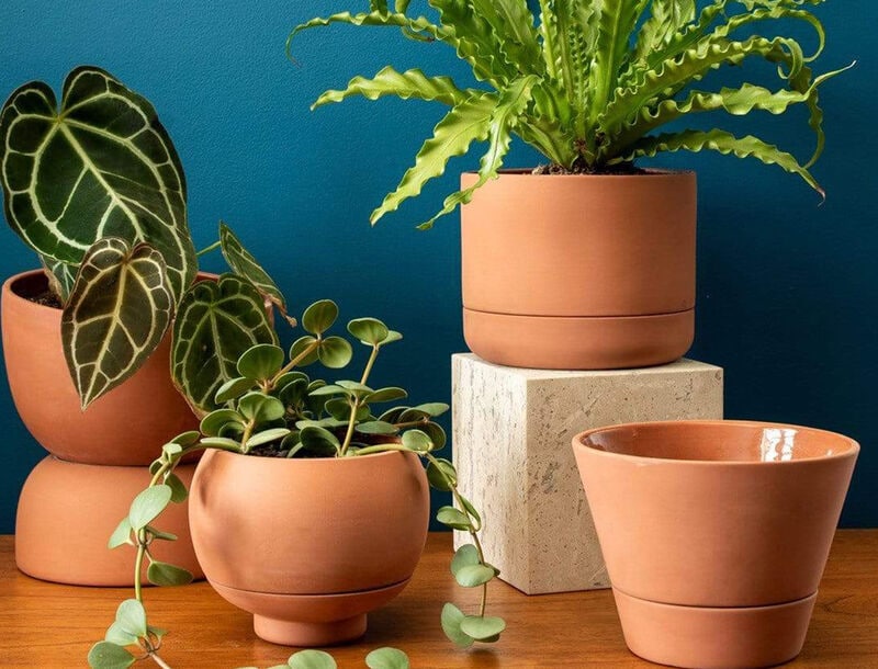 Biophilic Design Brands