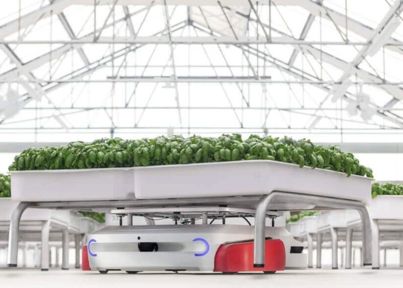 Greenhouse-Roving Agricultural Robots