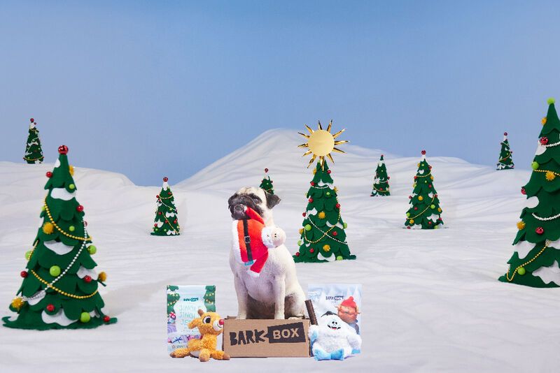Seasonal Dog Toy Subscriptions