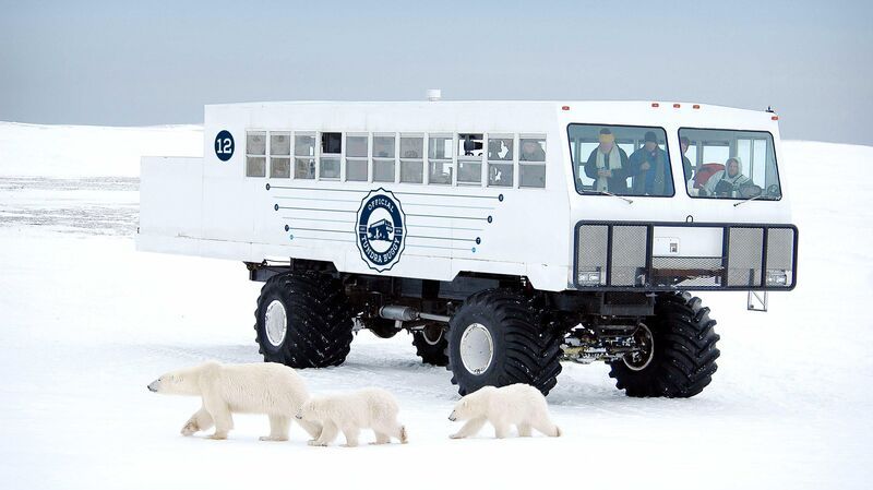 Sustainable Arctic Tours