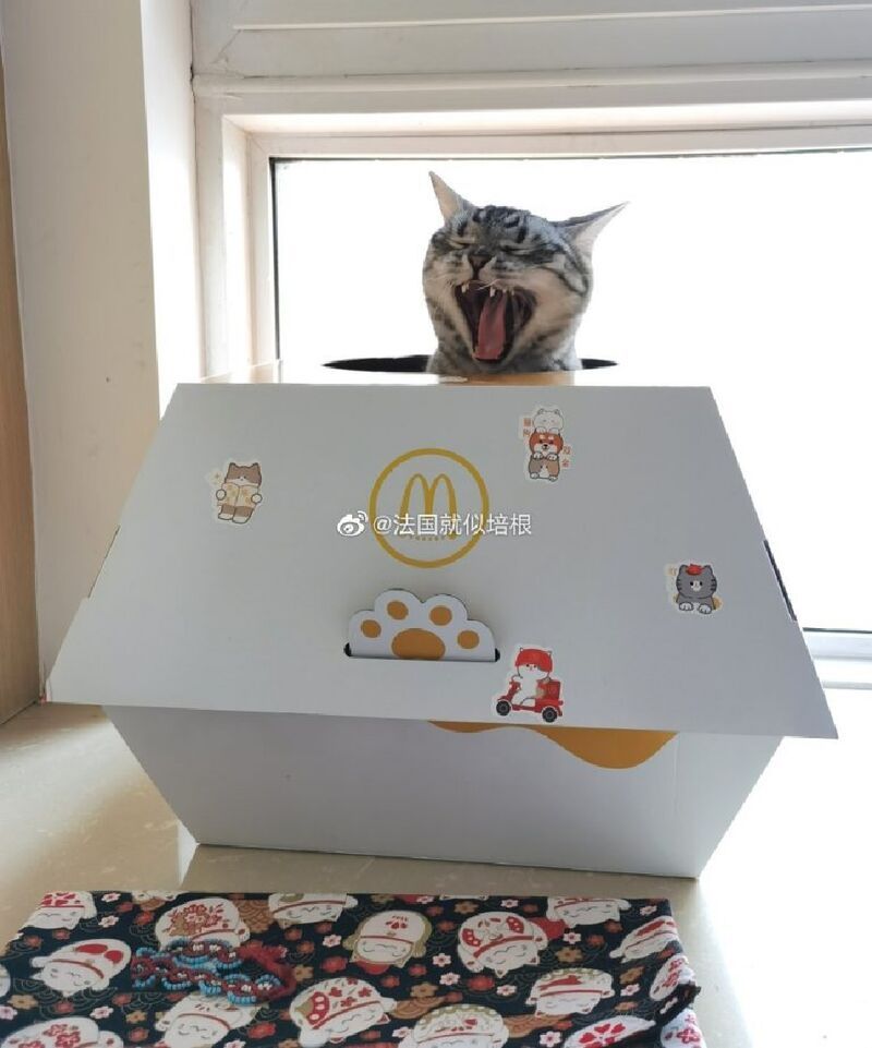 Burger-Themed DIY Cat Houses