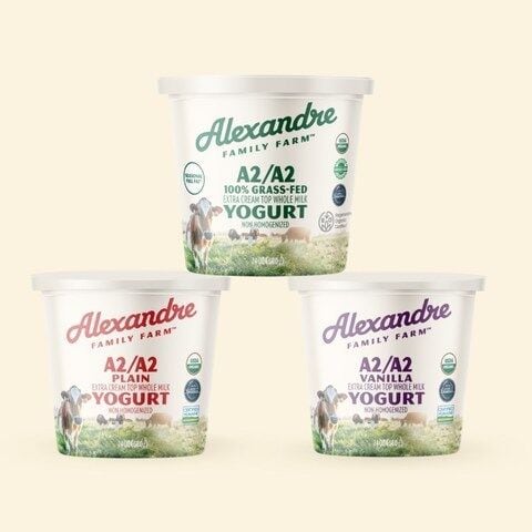 Non-Standardized Milkfat Yogurts