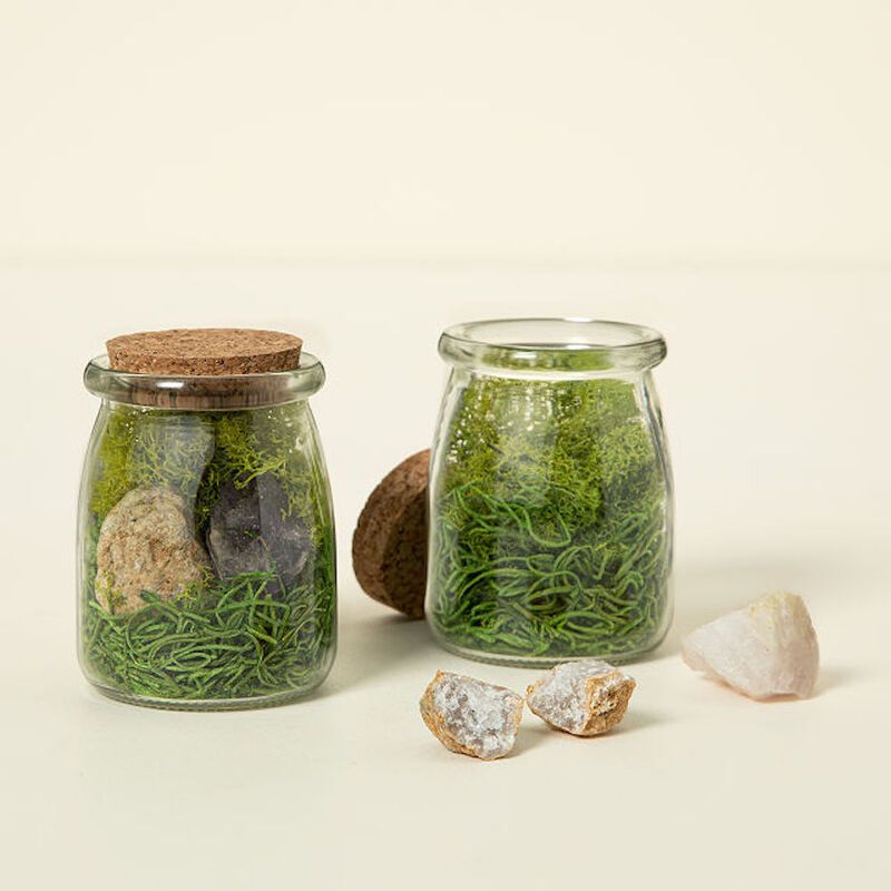 DIY Terrarium Jars