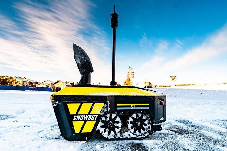 Intelligent Autonomous Snowblower Robots