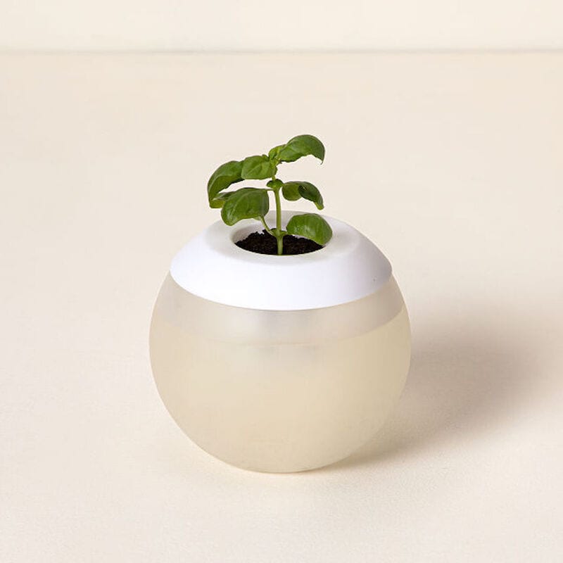 Spherical Self-Watering Pots