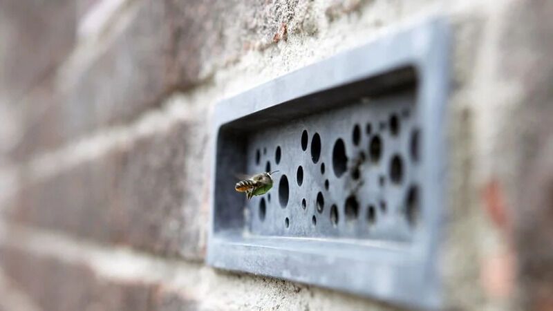 Bee-Friendly Bricks