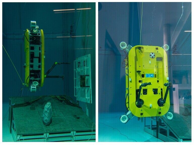 Autonomous Underwater Robots