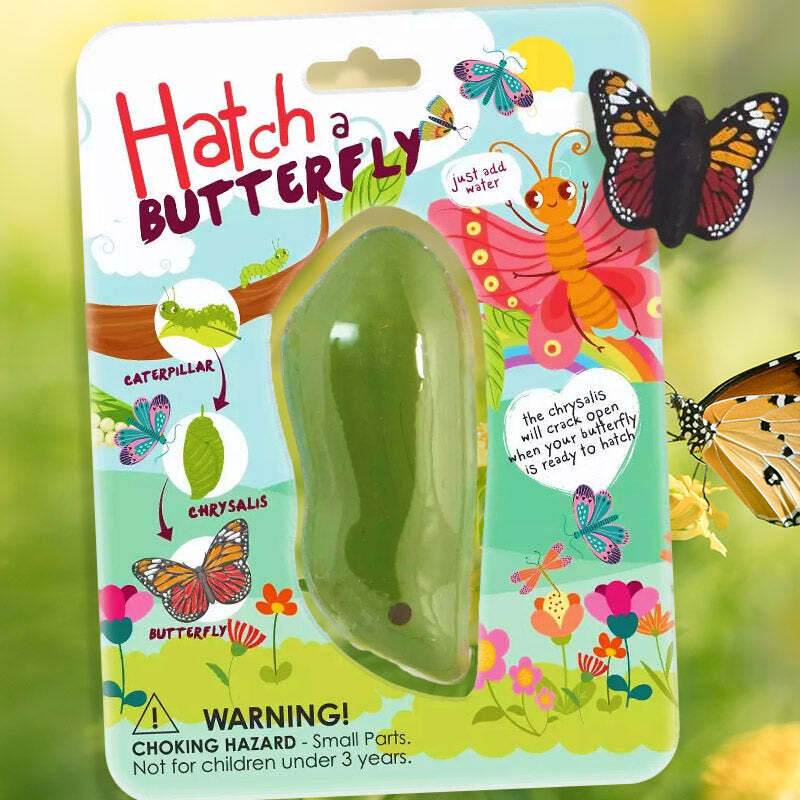 Insect-Inspired Science Toys