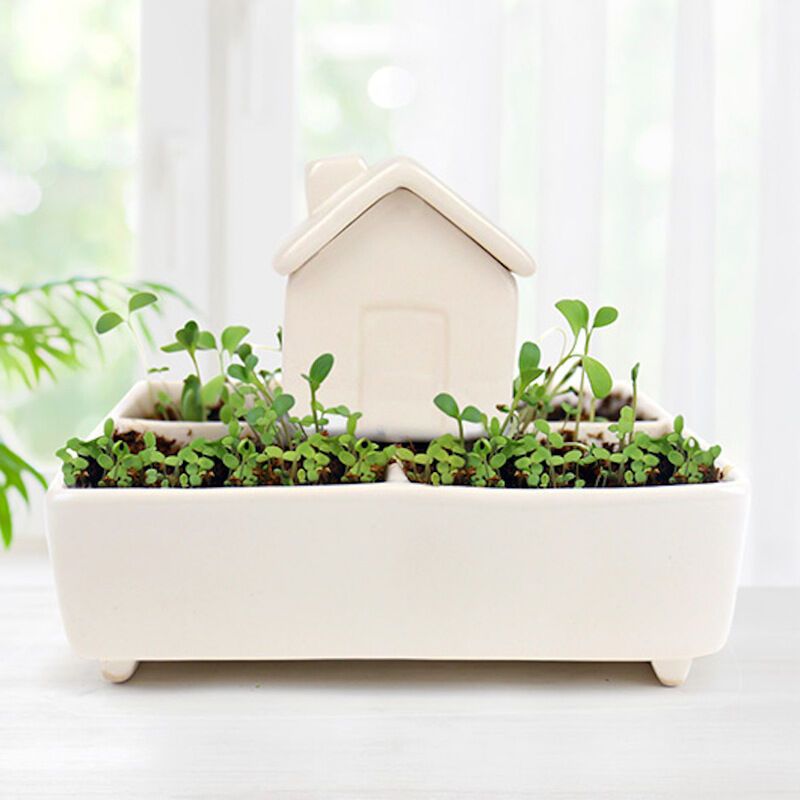 Uniquely Shaped Self-Watering Pots
