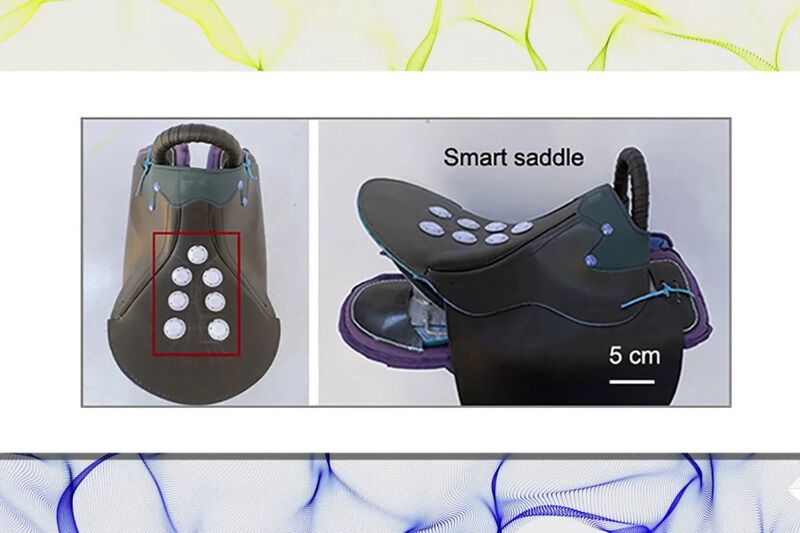 Sensor-Equipped Equestrian Saddles