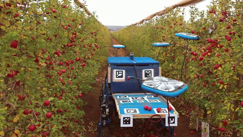 Flying Fruit-Harvesting Drones