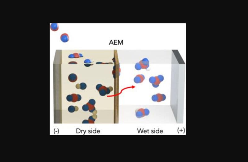 Artificial CO2-Capturing Leaves