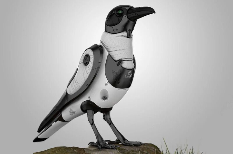 Crow-Shaped Drones