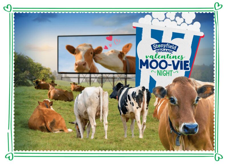 Cow-Themed Romantic Movies