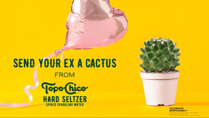 Prickly Ex-Partner Valentine's Gifts
