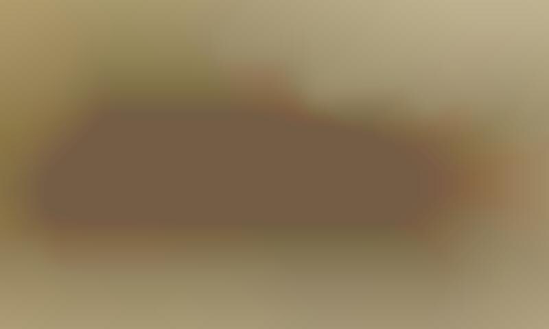 Leather everyday shoes Clearance