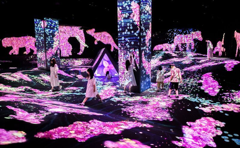 Virtual Sakura Exhibitions