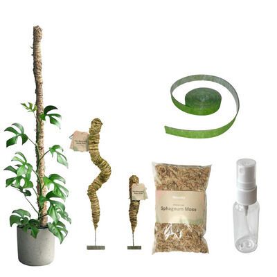 Moss-Themed Product Lines
