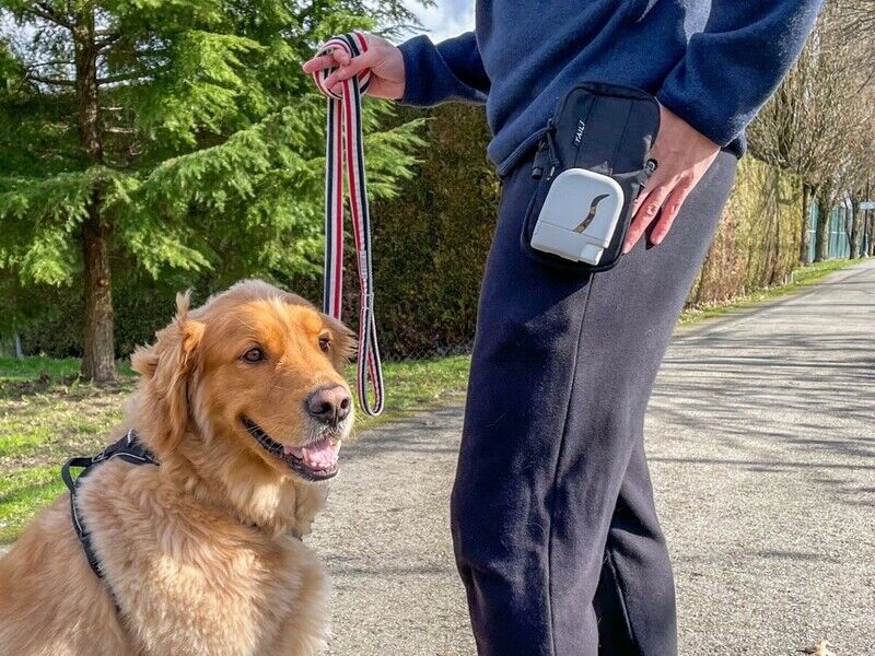 dog treat dispenser for walks