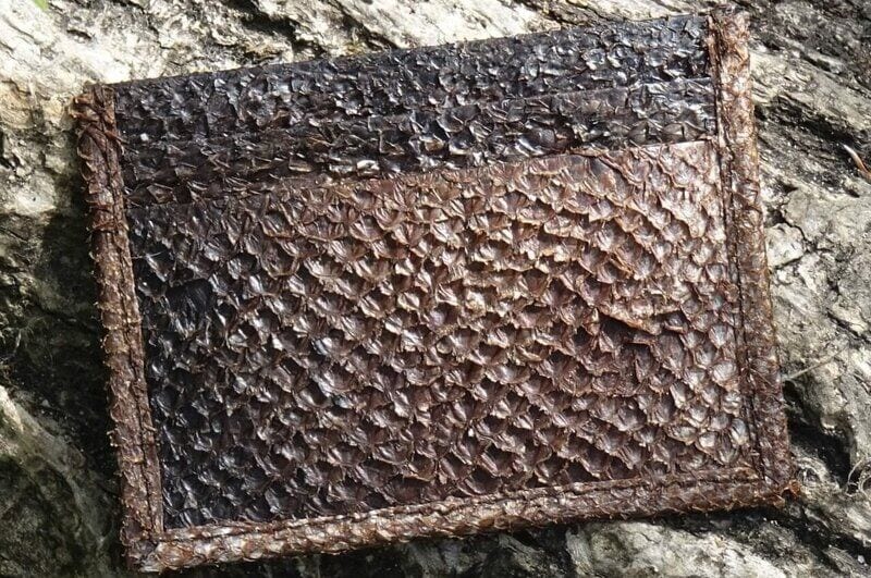 Sustainable Aquatic Leathers