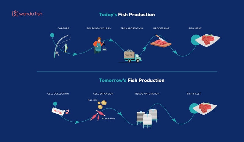 Cell-Cultivated Fish Partnerships