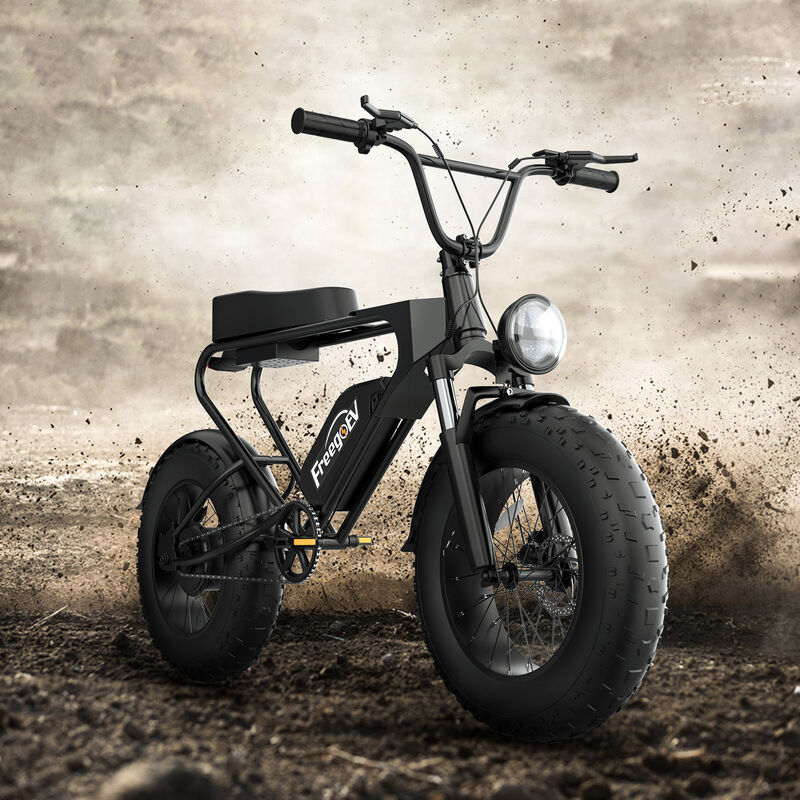 phat tire electric bike