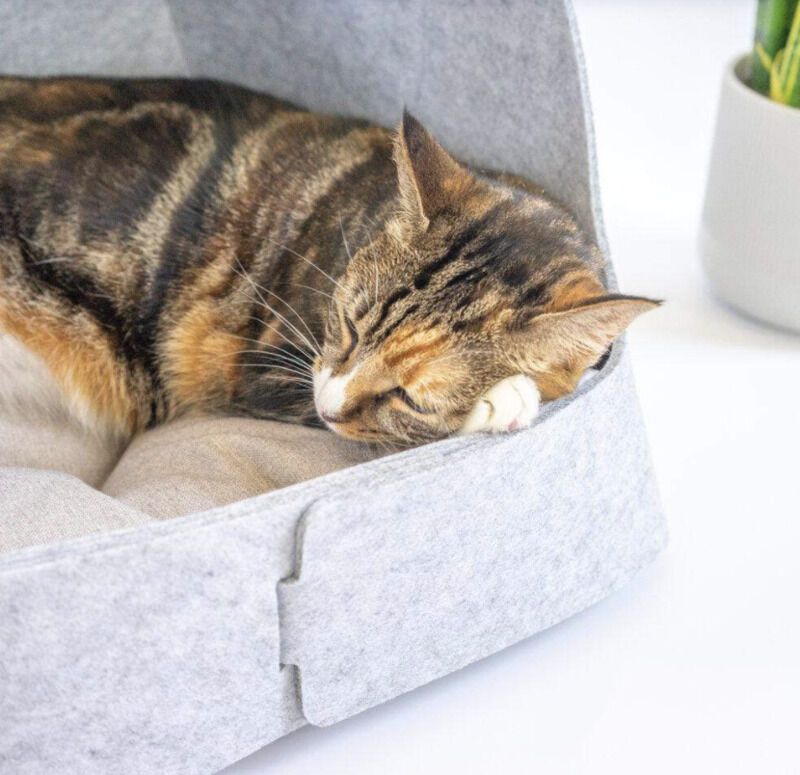 Origami-Like Pet Beds