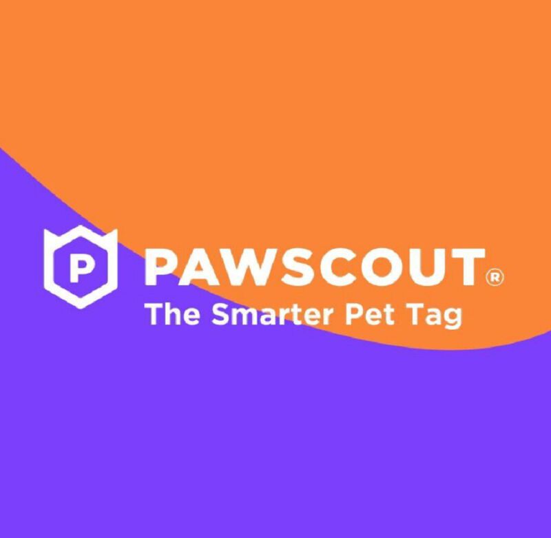 QR Code Pet Tags