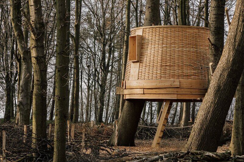 Contemporary Conservationist Treehouses