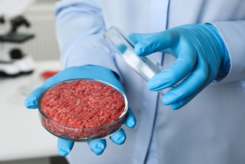 Chinese Cultivated Meat Startups