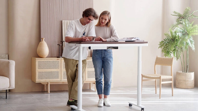 10-in-One Standing Desks