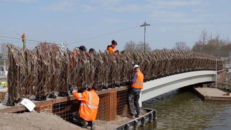Flax-Made Bridges Main Gallery Image
