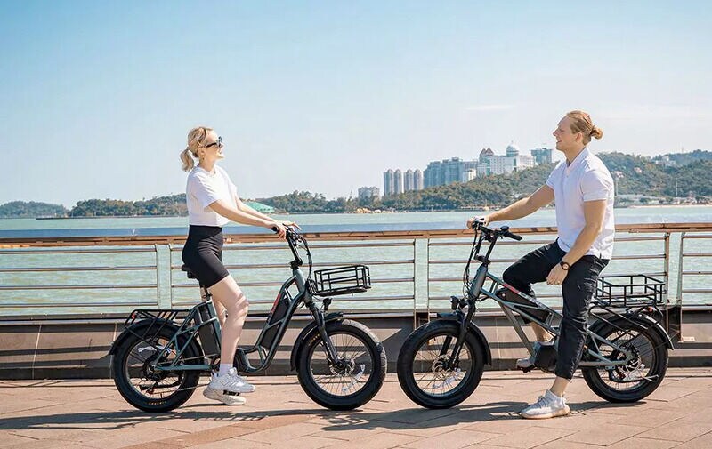 Thick-Tired Cargo E-Bikes